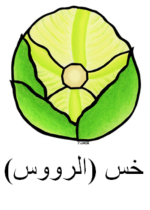 Crisphead Lettuce Arabic