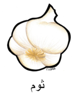 Garlic Arabic