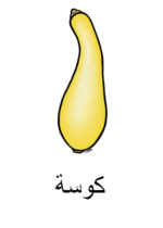 Squash Arabic