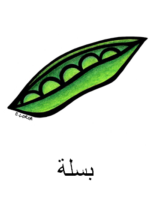 Peas Arabic