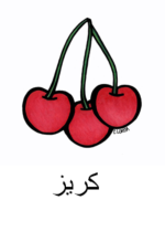 Cherry Arabic