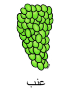 Grape Arabic