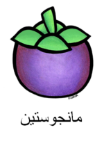 Mangosteen Arabic