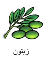 Olive Arabic
