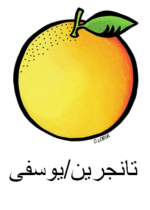 Tangerine Arabic