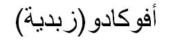 Avocado Arabic Text