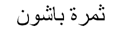 Passion Fruit Arabic Text
