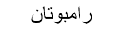 Rambutan Arabic Text