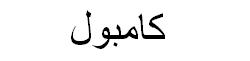 Starfruit Arabic Text