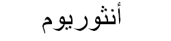 Anthurium Arabic Text