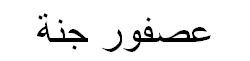 Bird of Paradise Arabic Text