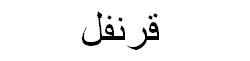 Carnation Arabic Text