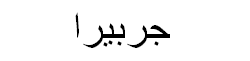 Gerbera Arabic Text