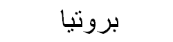 Protea Arabic Text