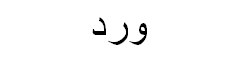 Rose Arabic Text