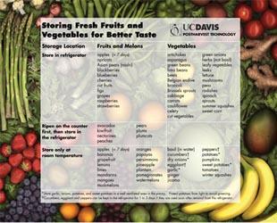 Storing Fresh Fruits & Vegetables for Better Taste