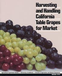 Harvesting and Handling California Table Grapes for Market