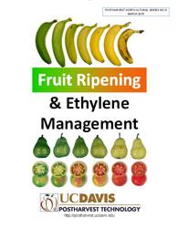 Fruit Ripening & Ethylene Management