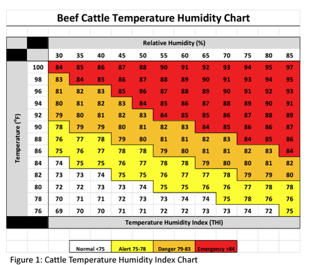 beef cattle heat index