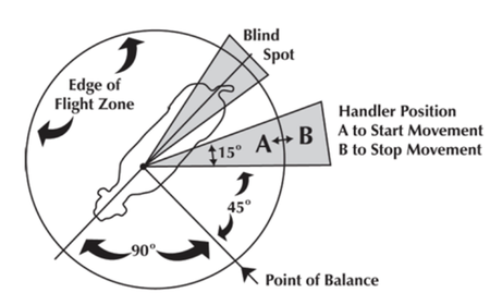 flight zone