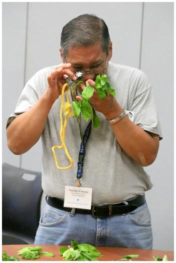 A man with glasses standing up holding a plant in his hand and looking at it with a magnifying lens.