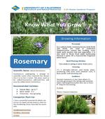 Herb Fact Sheet - Rosemary