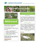 Native Fact Sheet - Milkweed