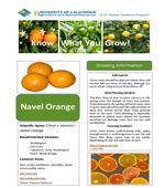 FS-Citrus-Navel Orange Page 1