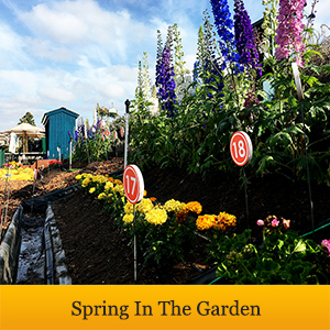 spring-in-the-garden-banner-sm