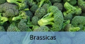 Brassicas_Final