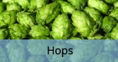 Hops_Final