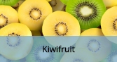 Kiwifruit_Final