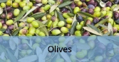 Olives_Final