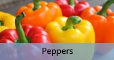 Peppers_Final
