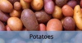 Potatoes_Final