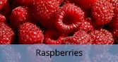 Raspberries_Final