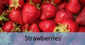 Strawberries_Final