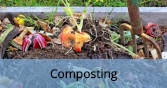 Composting_Final