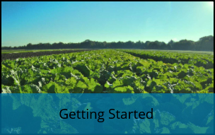 Getting Started_300