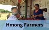 hmong farmers icon