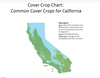 cover crop chart