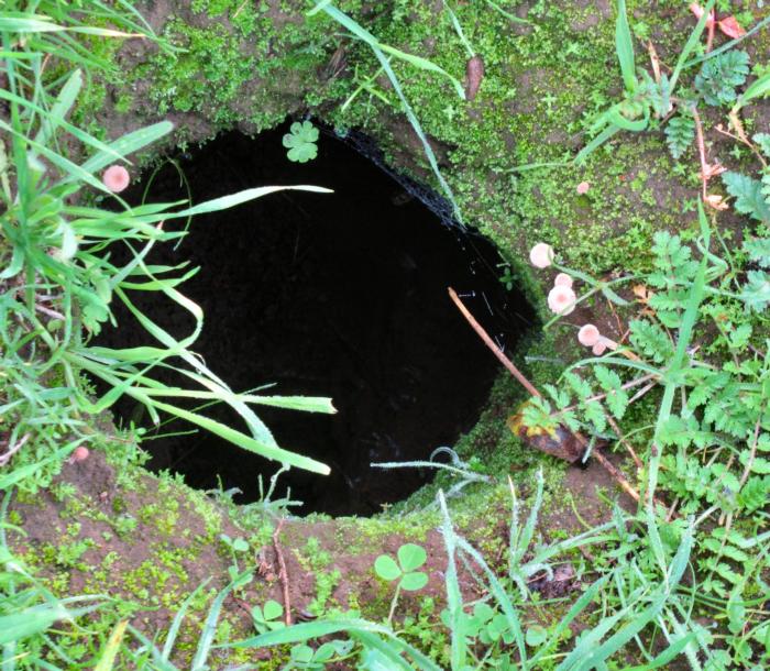 # 5 Down the ground squirrel hole