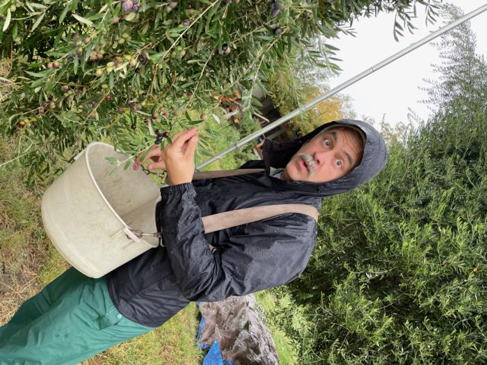 Charlie surprises himself with his olive picking skills!