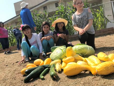 Students love vegetables, especially when they grow them themselves!