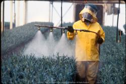 Pest Management and Pesticides
