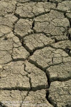 Drought cracked soil