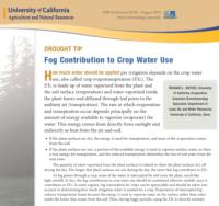 Fog Contribution to Crop Water Use