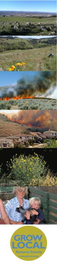 Preserve, manage fire fuels, manage weeds, support local