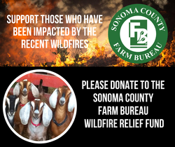 2020 Sonoma County Farm Bureau Wildfire Relief Fund