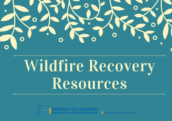 Wildfire Recovery Resources